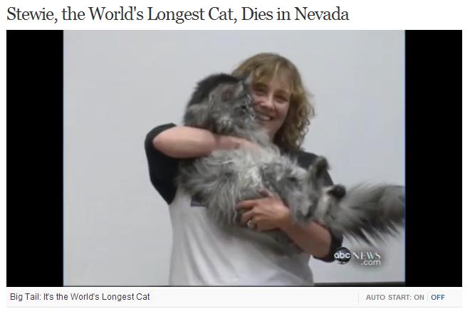 世界一長い猫