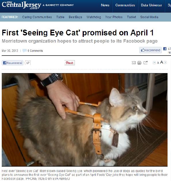 世界初の盲導猫