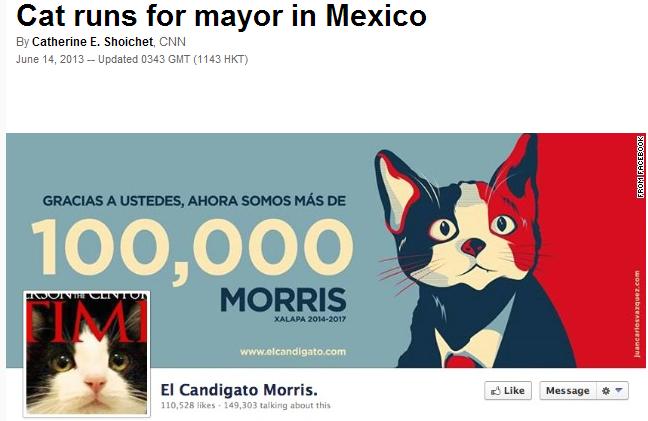 市長立候補猫モリス