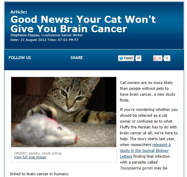 猫と脳腫瘍